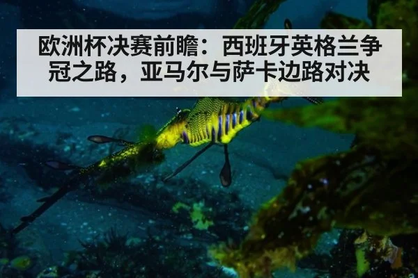 欧洲杯决赛前瞻：西班牙英格兰争冠之路，亚马尔与萨卡边路对决